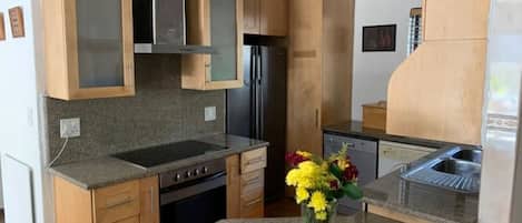 Microondas, horno, placa de cocina