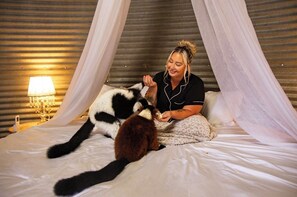 Un lit à baldaquin, une lampe et une personne assise sur le lit.