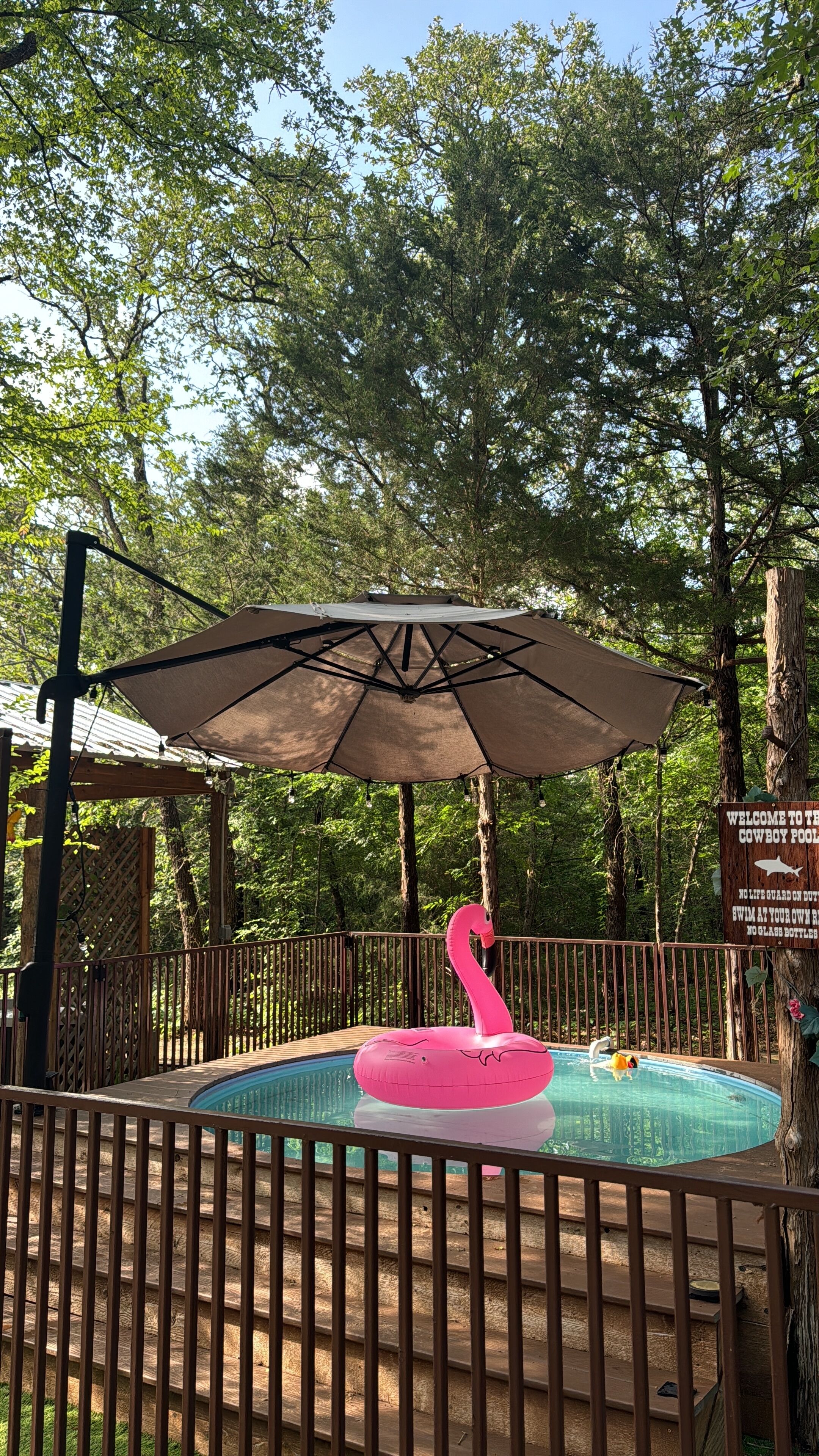 A pool with a pink flamingo float, surrounded by a wooden deck and a metal fence.