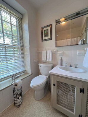 Shower, hair dryer - Vaux Hall Manor - 5BR Historic Farmhouse on Bay (Melfa)