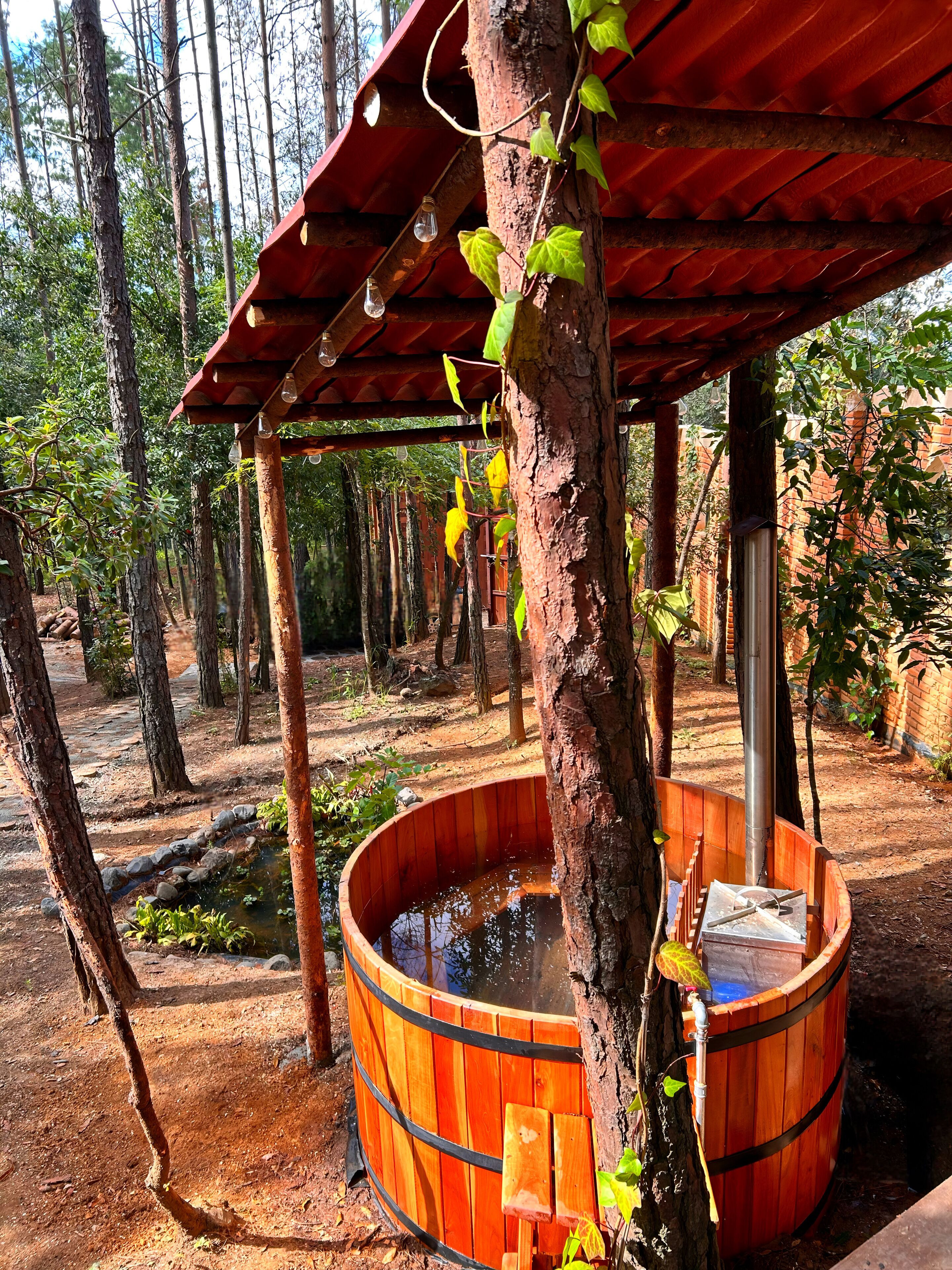 Outdoor spa tub