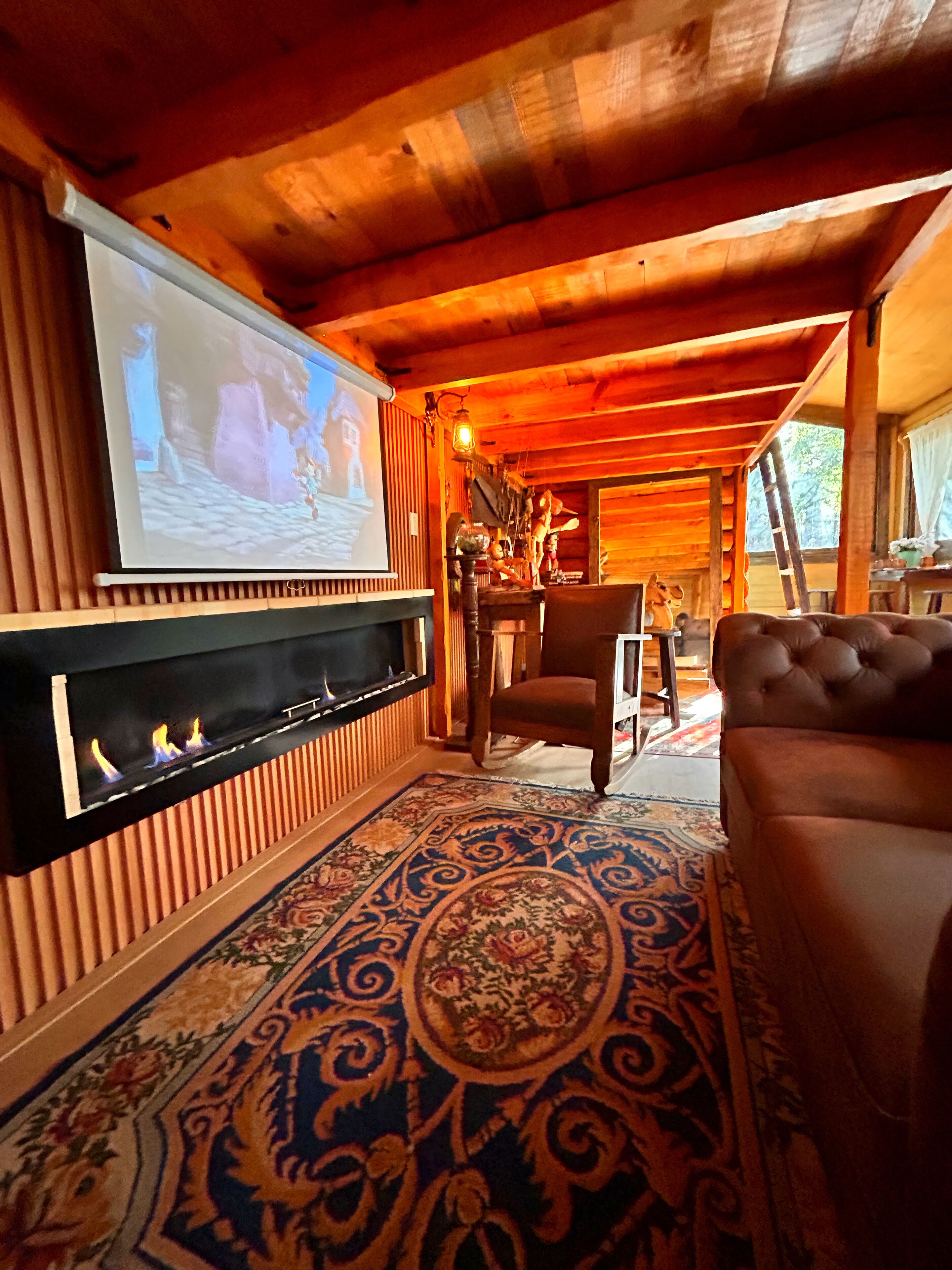 TV, fireplace, books, stereo