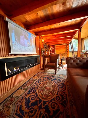 Télévision, cheminée, livres, chaîne hi-fi