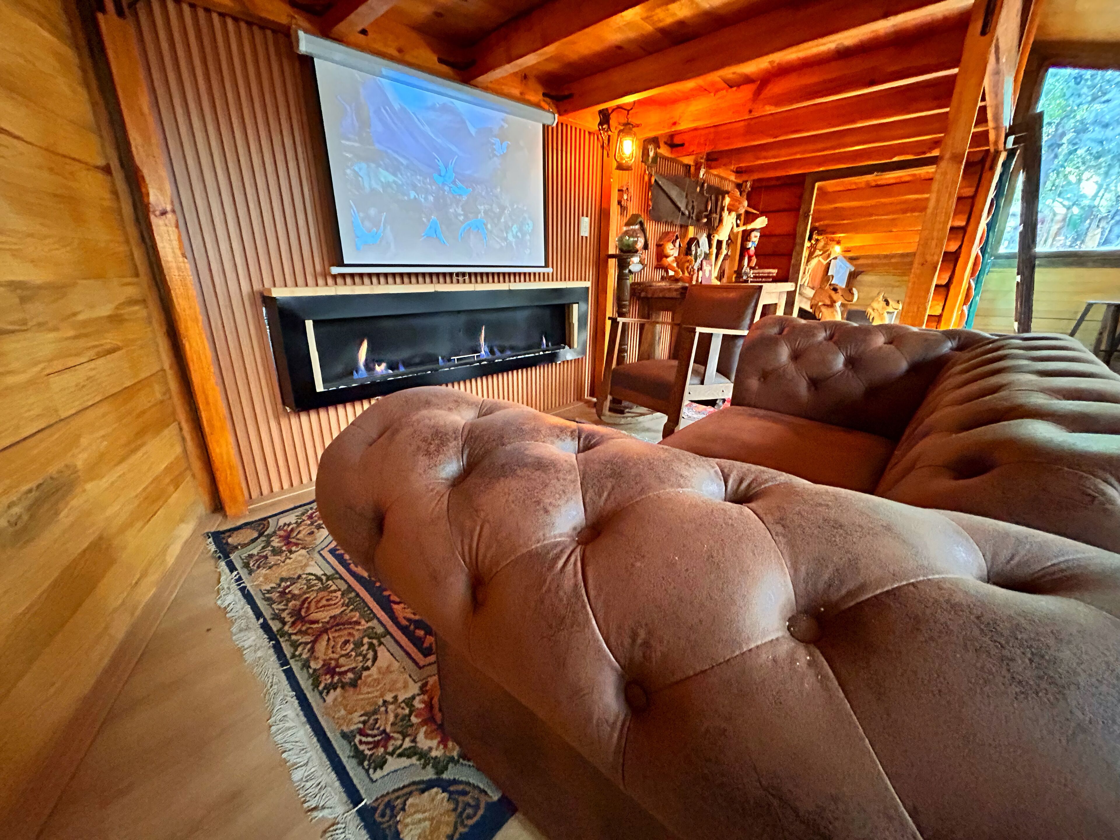 电视、壁炉、书、立体声音响