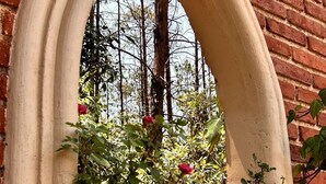 A gothic arch window with a brick wall and climbing plants.