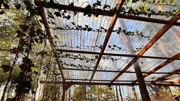 A covered outdoor area with wooden benches and a hammock.