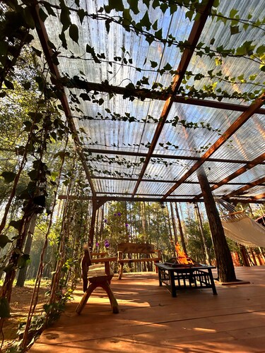 Bosque Érase Una Vez- Unique Cabins in The Forest (pet friendly)