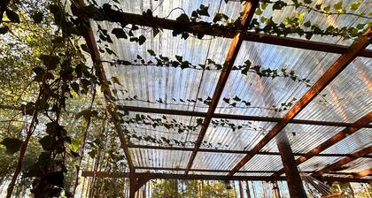 Bosque Érase Una Vez- Unique Cabins in The Forest (pet friendly)