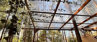 Bosque Érase Una Vez- Unique Cabins in The Forest (pet friendly)