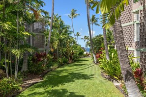 Leilighet, 1 queensize-seng med sovesofa (Alii Villas#322) | Overnattingsstedets uteområder