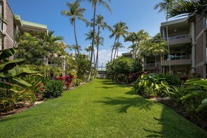 Apartment, 1 Queen Bed with Sofa bed (Alii Villas#322) | Property grounds - Alii Villas#322 (Kailua-Kona)
