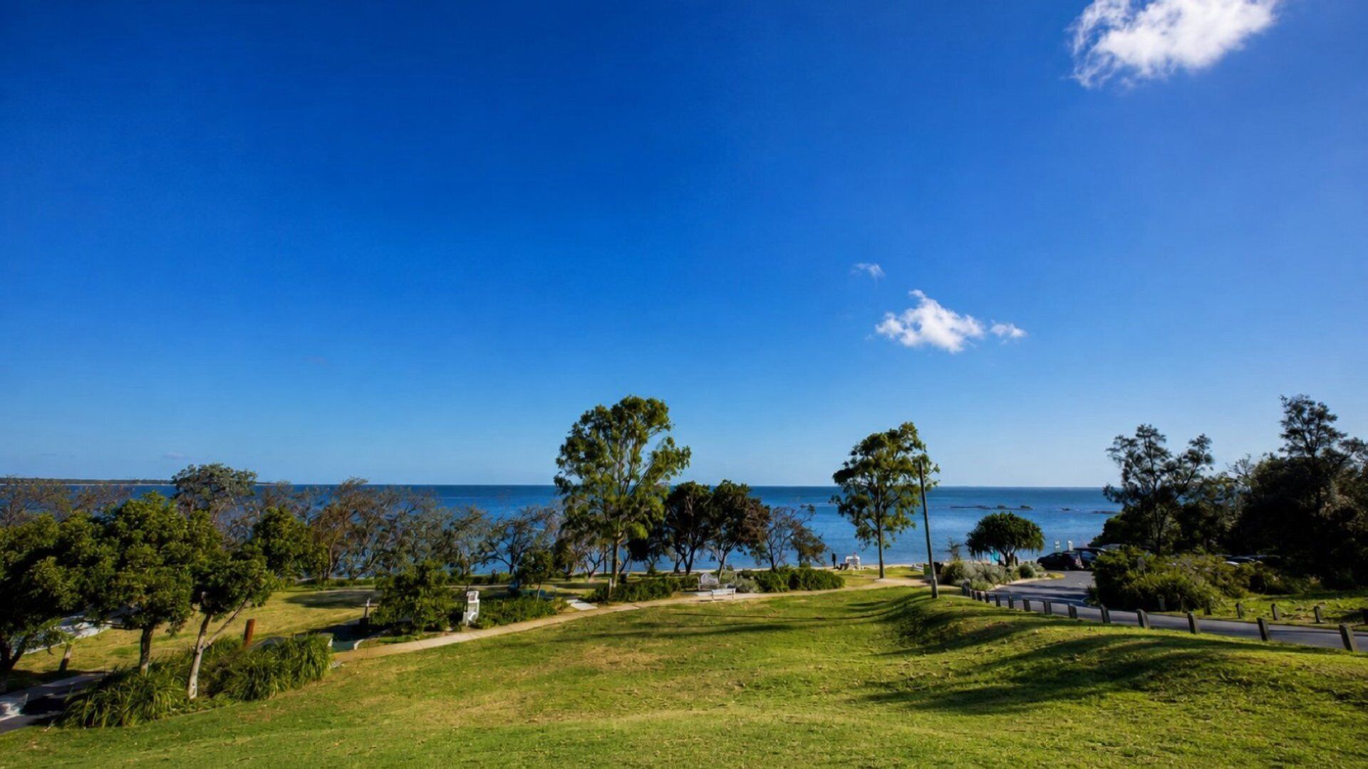 Un espacio verde con árboles y una vista despejada al mar.