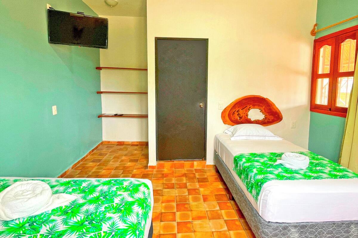 A room with two beds, each with a green leaf-patterned bedspread and white pillows. There is a television mounted on the wall, a door in the center, and a window with red frames on the right.