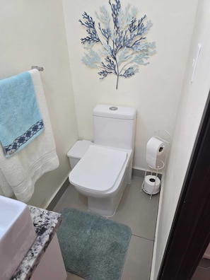 Shower, towels, toilet paper