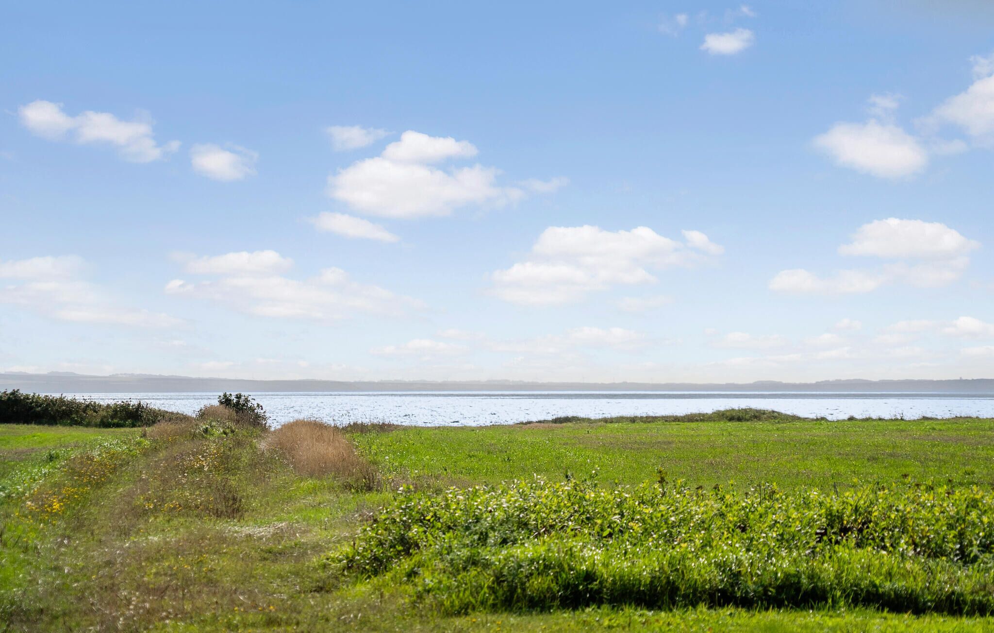 A coastal landscape with a grassy field and a body of water in the distance.