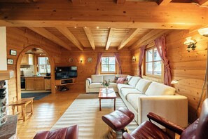 TV, fireplace, books, offices