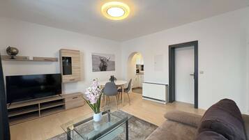 Fernseher, Arbeitsbereiche