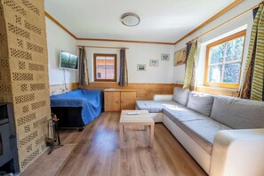 TV, fireplace, offices