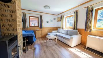 TV, fireplace, offices