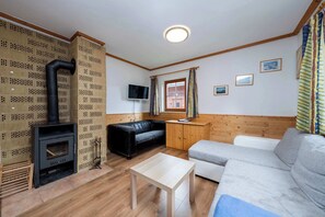 TV, caminetto, studio