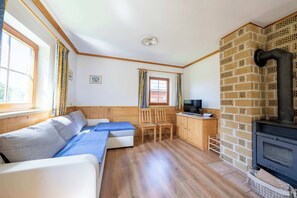 TV, fireplace, offices