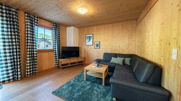 Fernseher, Arbeitsbereiche