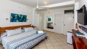 Een slaapkamer met een bed, een plafondventilator, een televisie en een kledingkast.