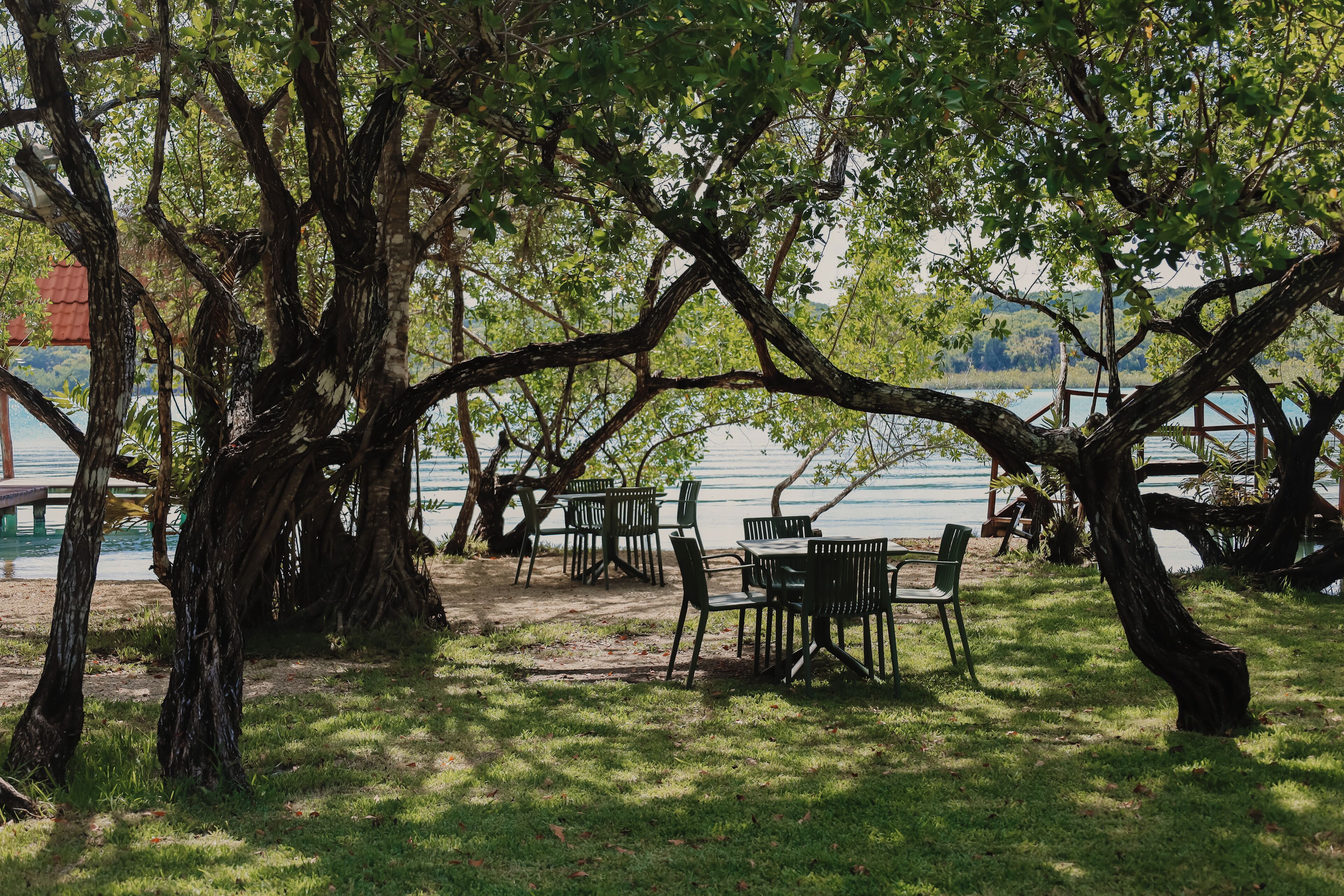 An outdoor seating area with tables and chairs under large trees by a lake.