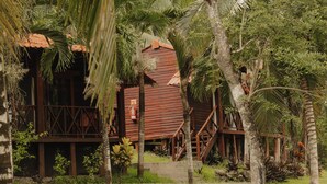 Une maison en bois avec un toit en tuiles, entourée d’une végétation luxuriante et de palmiers.