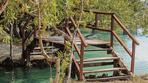 Un pont en bois enjambant une eau claire, entouré d’arbres et de végétation.