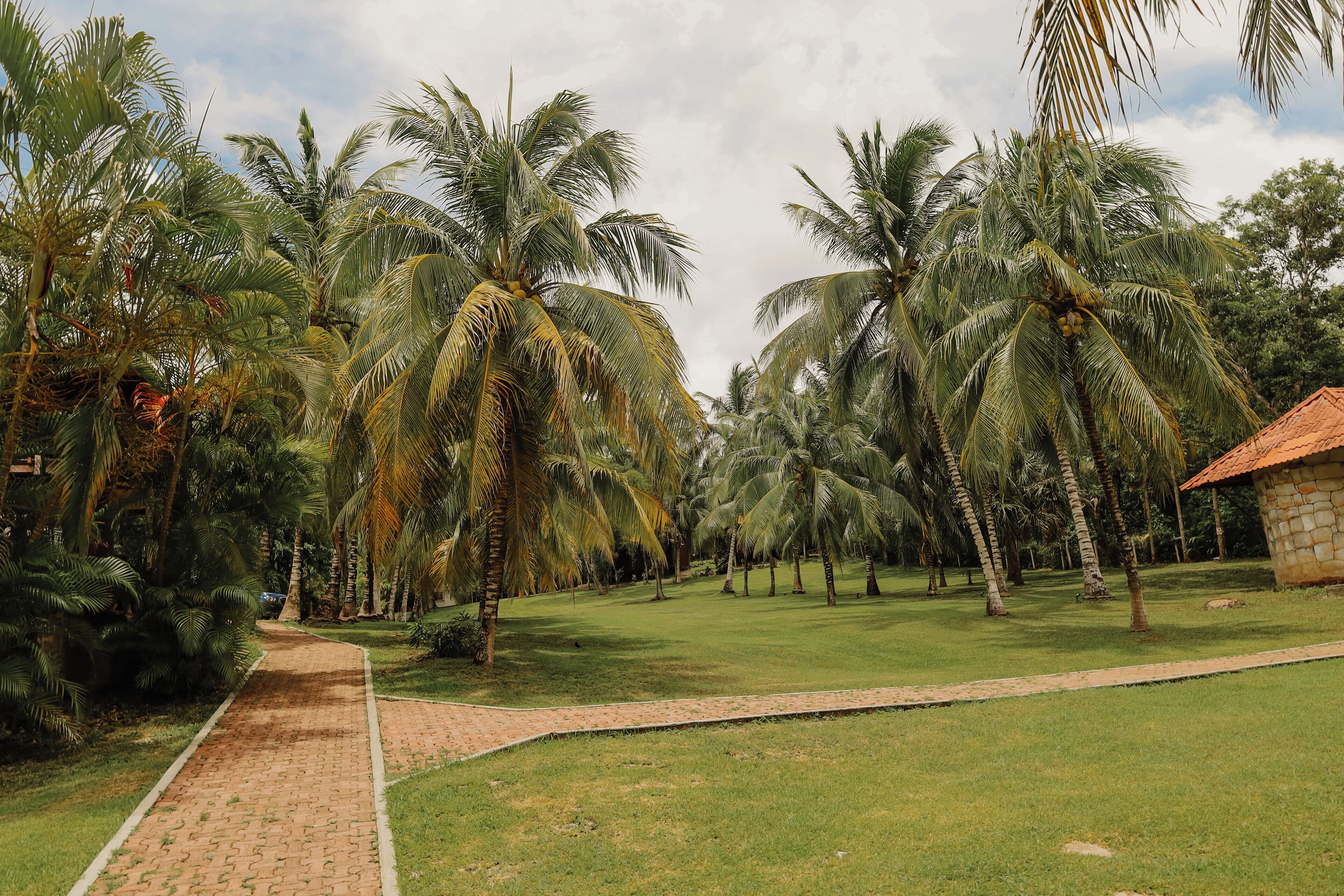 A pathway leading through a tropical garden with palm trees and a stone building.
