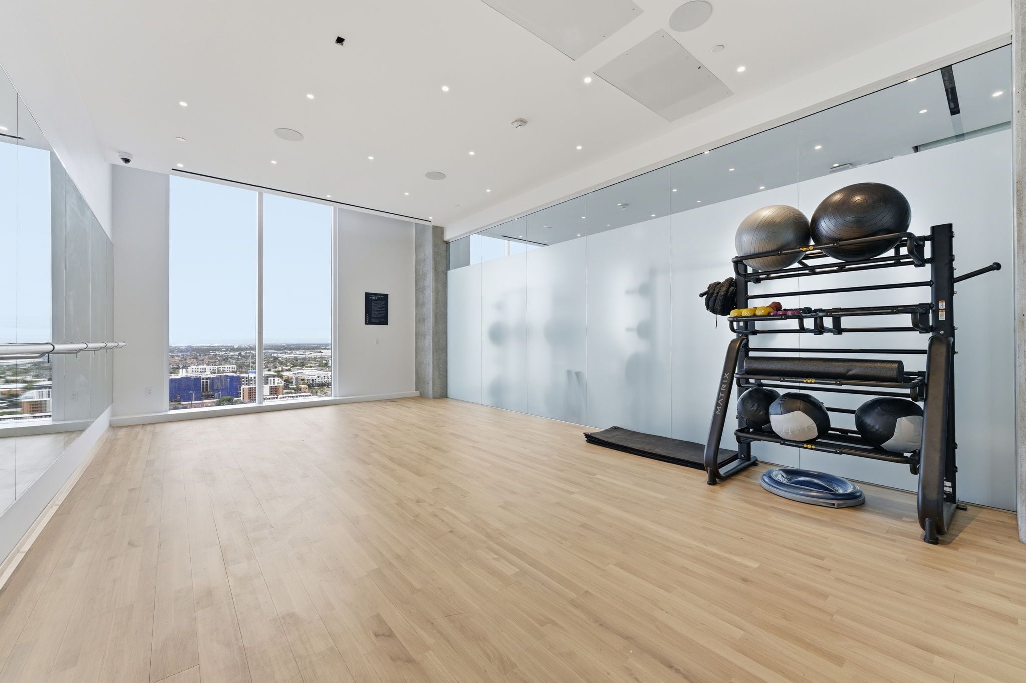 A spacious room with a large window, a black exercise rack with weights, and a city view.