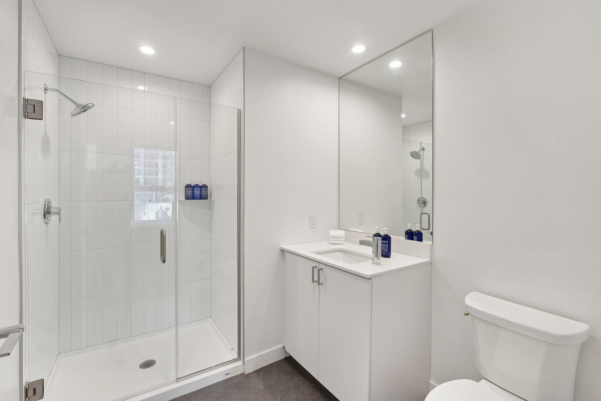 A modern bathroom with a glass shower enclosure, a white sink, and a toilet.