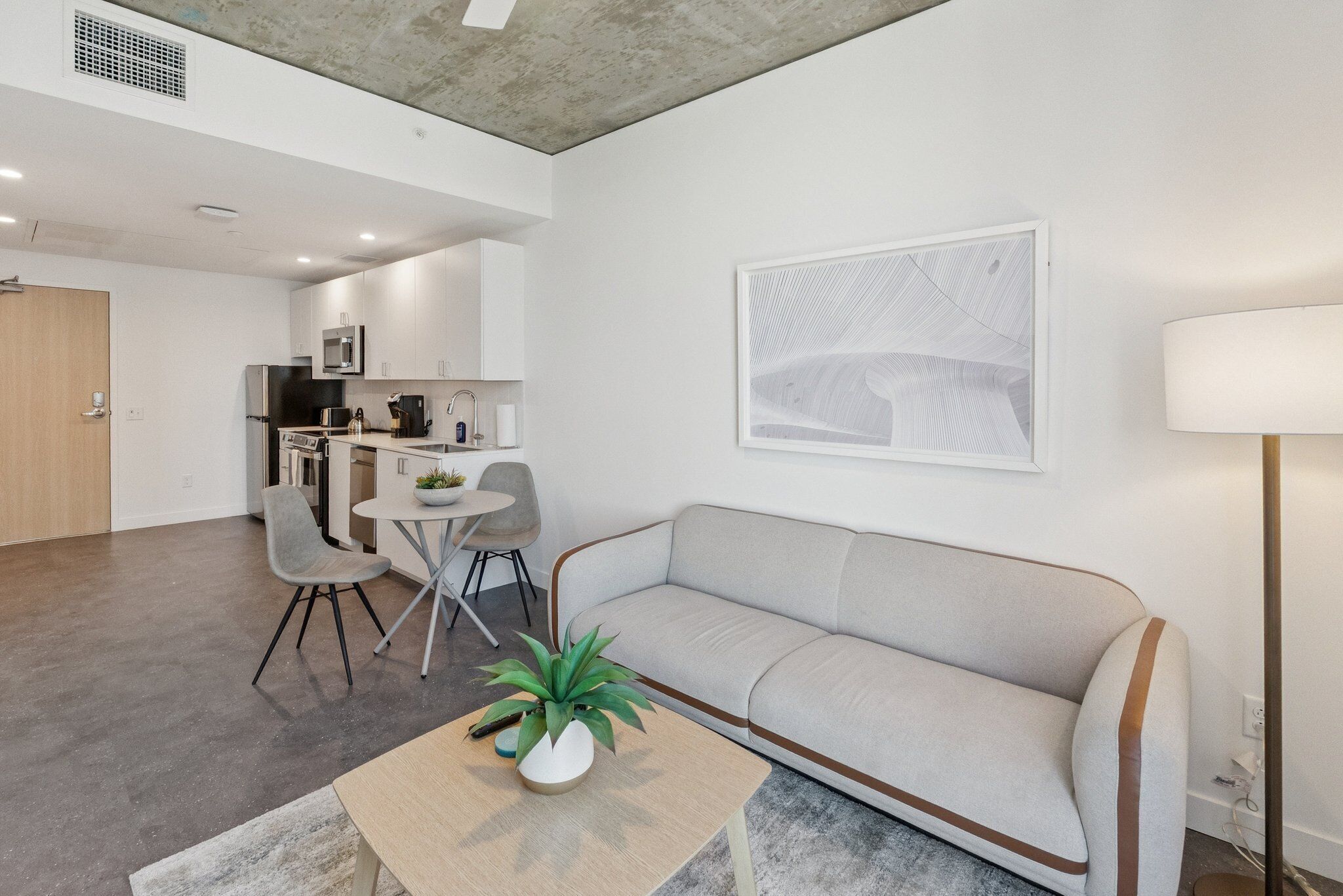 A modern living room with a sofa, a coffee table with a plant, and a dining area with chairs and a table.
