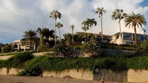 Una spiaggia con palme, un muro di pietra e un edificio sullo sfondo.