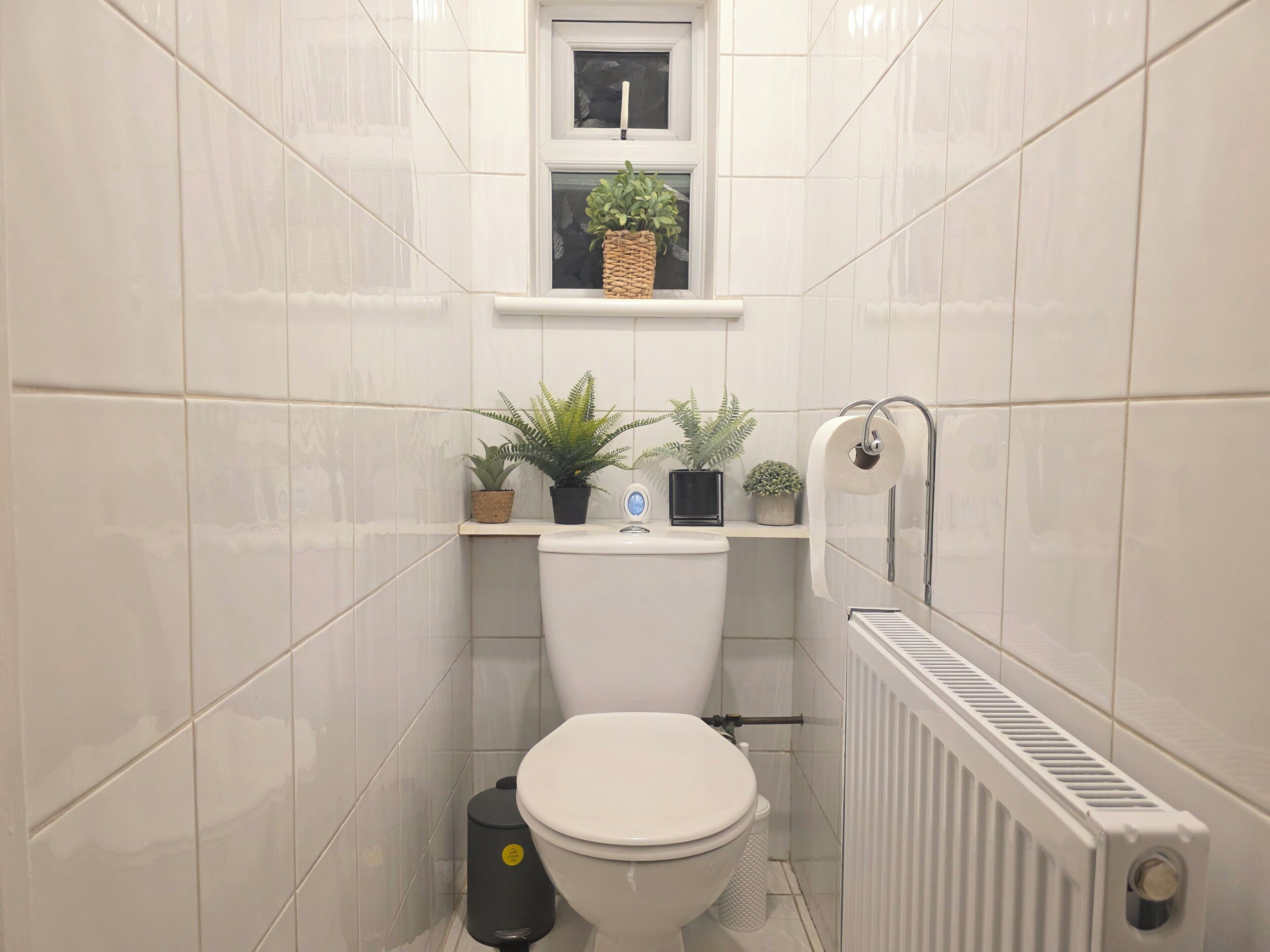 Jetted bath, bidet, towels, toilet paper