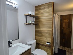 Hair dryer, towels, soap, toilet paper