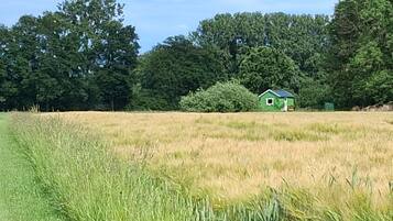 A green house in a field with tall grass and trees in the background.