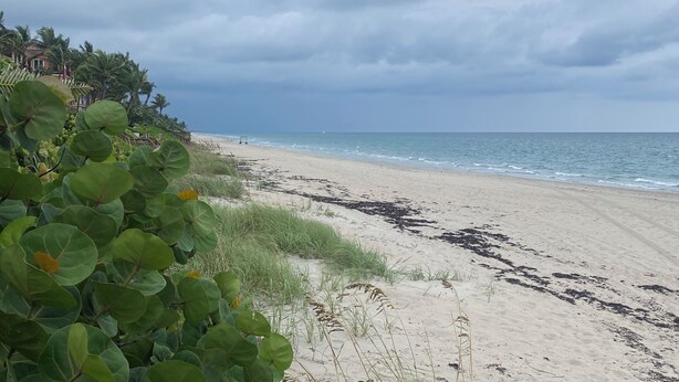 A beach with a sandy shore, some vegetation, and a cloudy sky. - Highland Beach Hideaway with Dock (Highland Beach)