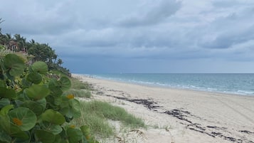 Tæt på stranden, liggestole, badehåndklæder