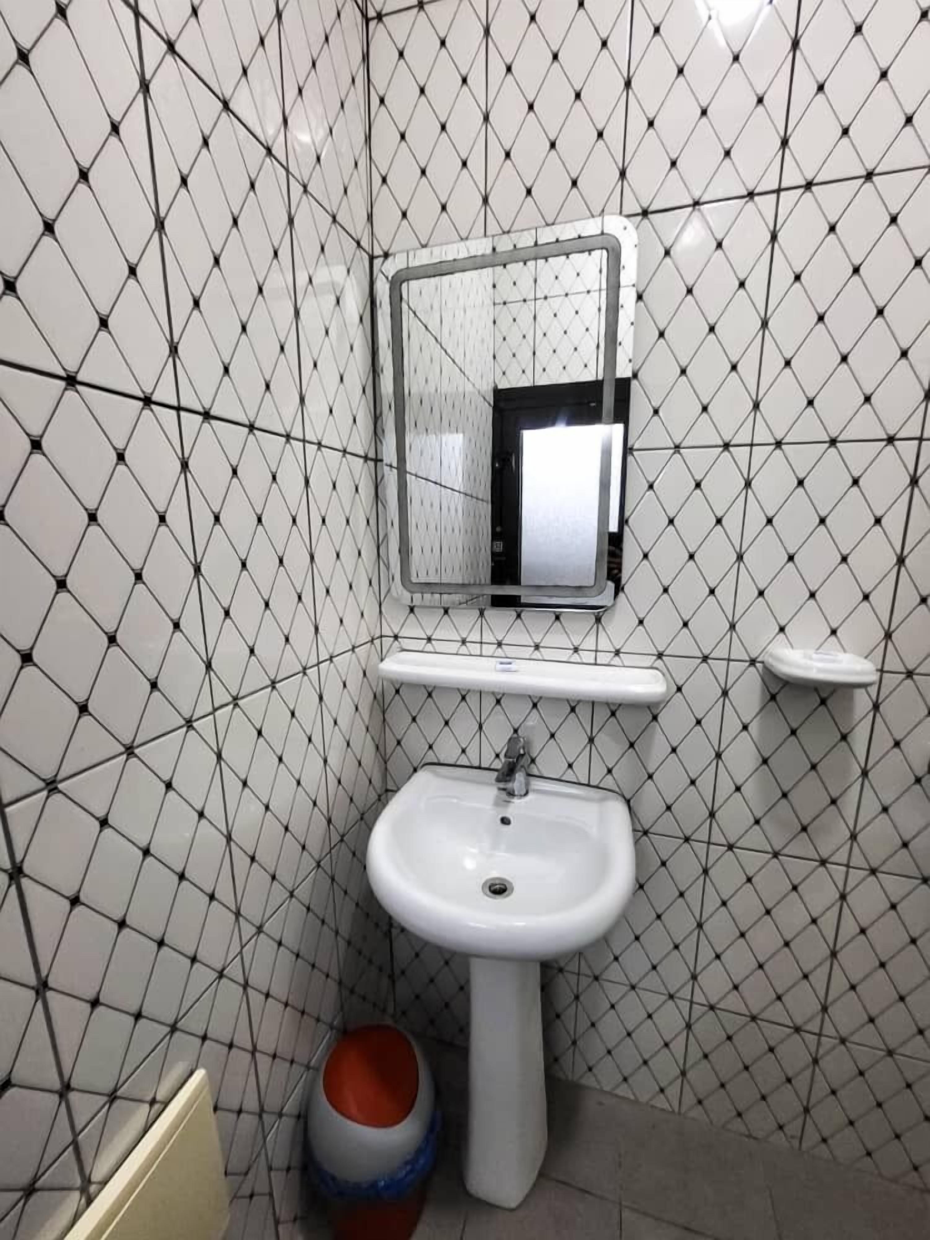 A bathroom with a white sink, a mirror, and a tiled wall with a geometric pattern.