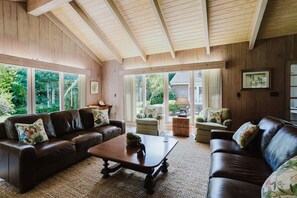 TV, fireplace, books