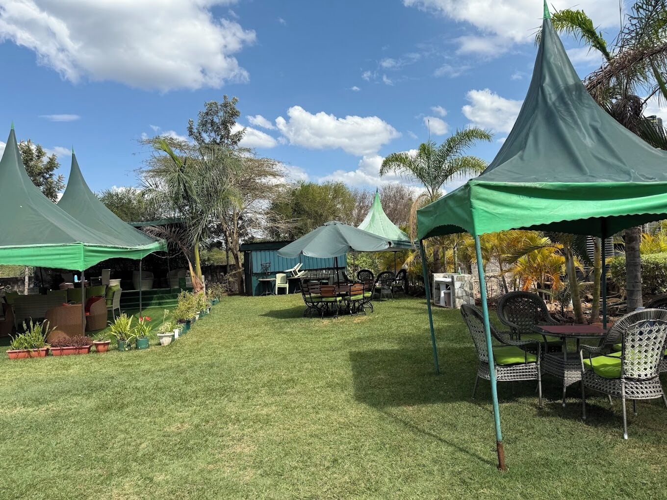 A grassy outdoor area with several green tents and wicker furniture.