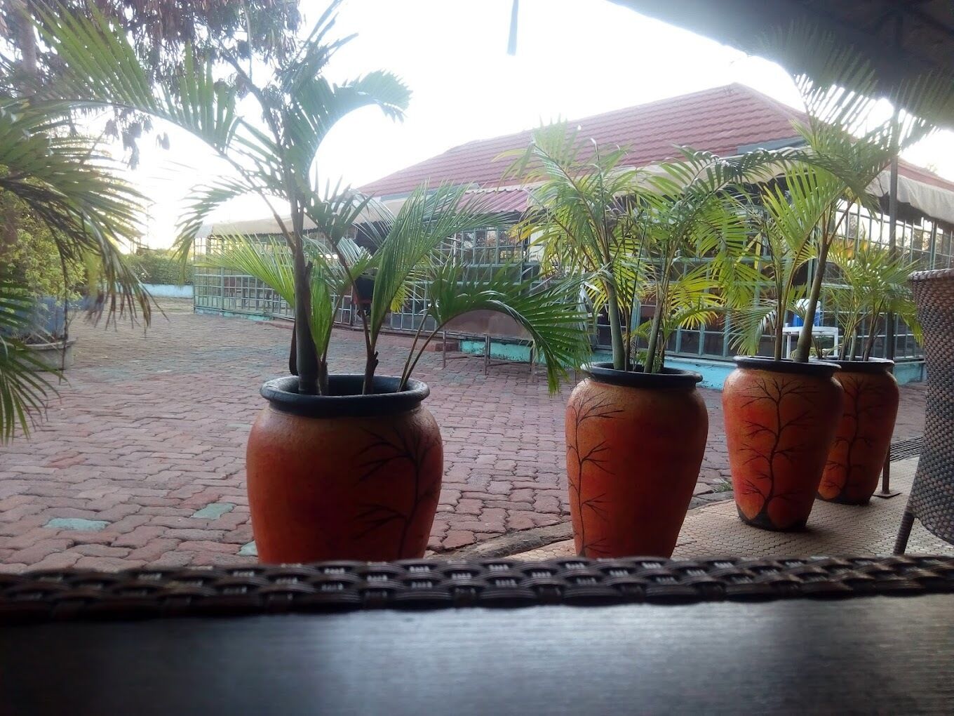 A view from a window with potted plants, a tiled floor, and a building with a red roof in the background.