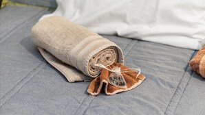 A neatly rolled beige towel on a bed with a white pillow and a brown towel with a tag. - Modern comfortable close to the beach/airport (Fort Lauderdale)