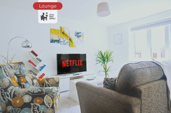 TV, DVD player, books, video library