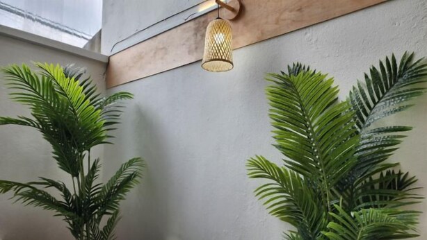 A modern interior with a concrete wall, a hanging light fixture, and two large potted plants. - Petaling Jaya 5 BedRoom Landed SS17/ for up to 18pax/Jaya1/Phileo/UM (Petaling Jaya)