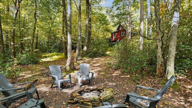 Skovområde med en lille hytte, et bålsted og flere Adirondack-stole.