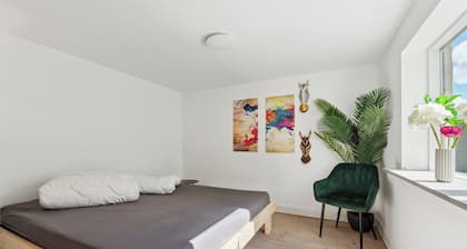 Cosy and modern house in peaceful setting