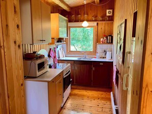 Fridge, oven, stovetop, coffee/tea maker